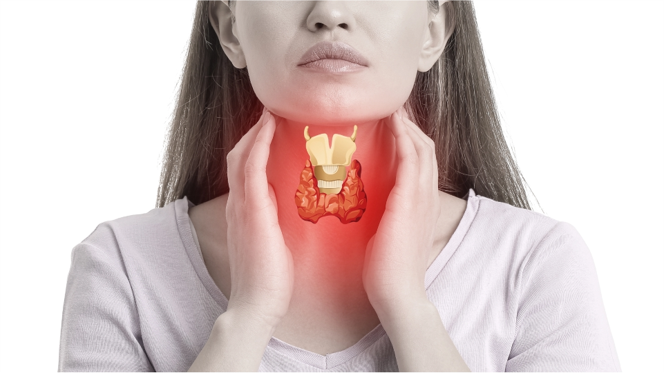 Endocrinología