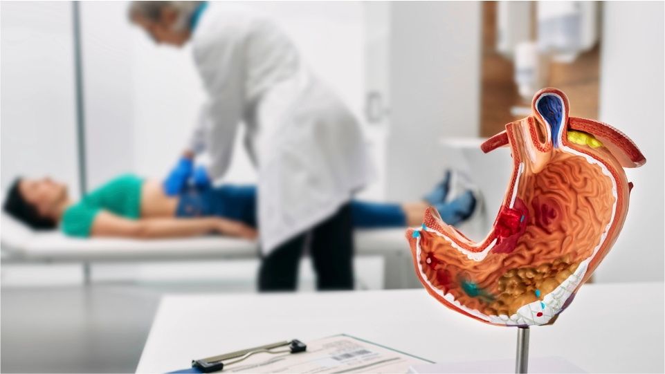 Gastroenterologia